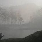 Bryan Wagner Photo 43 Bryan Wagner Photo 43