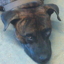 Charles Ruffin Photo 14