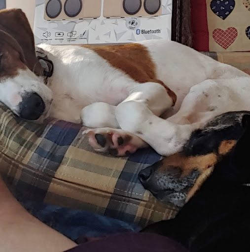 Richard Burroughs Photo 12