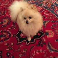 Terri Howell Photo 27