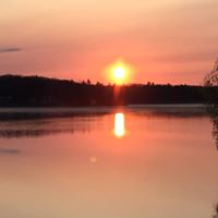 Vicki Strevey Photo 4