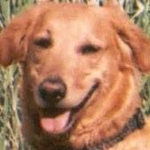 Victoria Hester Photo 17