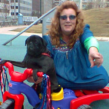 Tracy Stokes Photo 41