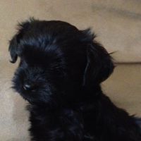 Sharon Bushman Photo 7