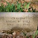 Andrew Stepp Photo 26