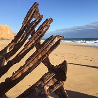 Sean Warren Photo 13