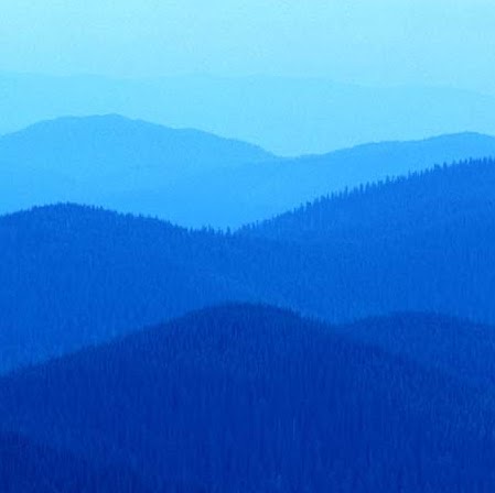 William Howarth Photo 35