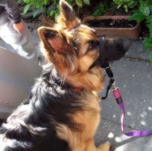 Linda Hawkins Photo 12