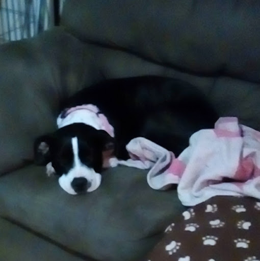 June Marshall Photo 21