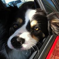 Laurie Light Photo 28