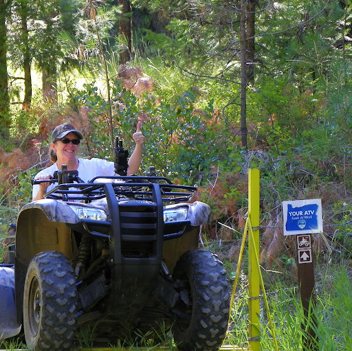 Laurie Collins Photo 24