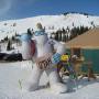 Terry Becker Photo 42