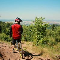 Dennis Richter Photo 12