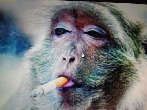 Brian Simpson Photo 16 Brian Simpson Photo 16