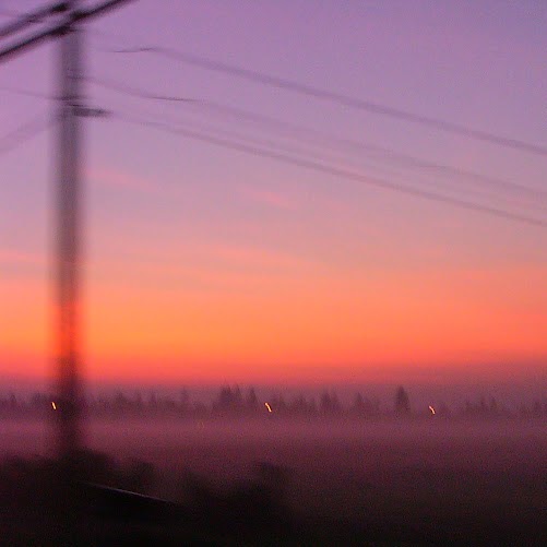 Katherine Powell Photo 50