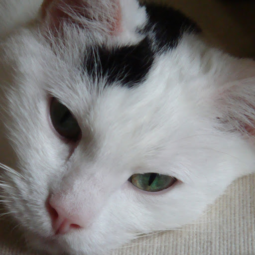 Tina Barnes Photo 10