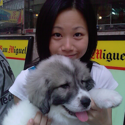 Michelle Sung Photo 12