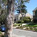 Francis Wood Photo 24