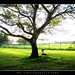 Anne Gan Photo 19