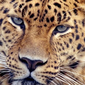 Brandy Harmon Photo 13