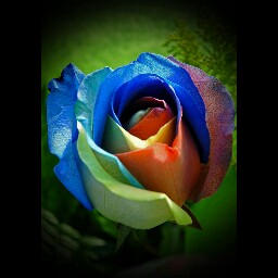 Rebecca Eaton Photo 38