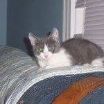 Franklin Crowe Photo 20