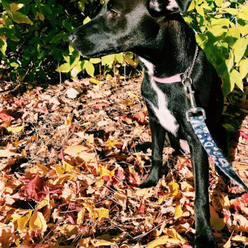 Krystal Washington Photo 16