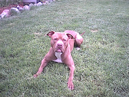 Melanie Fortier Photo 27