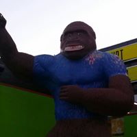 Kim Stafford Photo 22