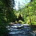 Sue Parsons Photo 37