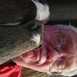 Mark Mcdermott Photo 44