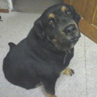 Christine Benson Photo 34