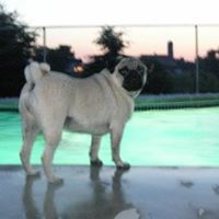 Brenda Rowland Photo 40