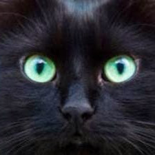 Sandra Weller Photo 4