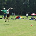 Shawn Adams Photo 8