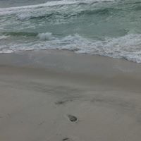 Deborah Livingston Photo 17