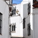 Frances Llanos Photo 14