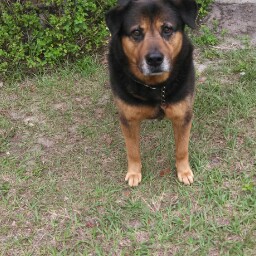 Jose Febres Photo 13