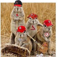 Scott Winslow Photo 36