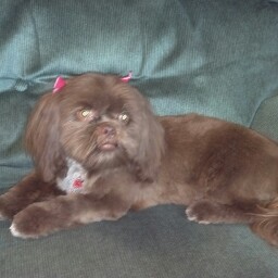 Staci Wilson Photo 34