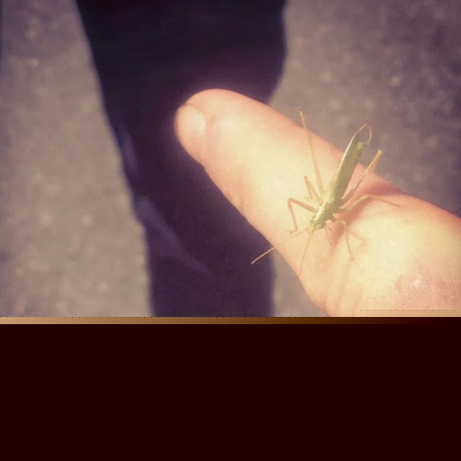 Chris Seversen Photo 5