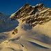 Joseph Wallis Photo 6