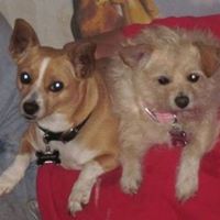 Pamela Burkhart Photo 11