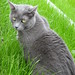 Tabitha Gray Photo 39