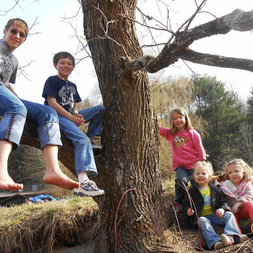 Pamela Glover Photo 11