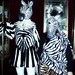 Catherine Berry Photo 25