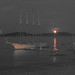 Margaret Moon Photo 8