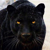 Elizabeth Wooten Photo 34