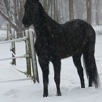 Kathy Copeland Photo 42