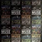 Christopher Costa Photo 47